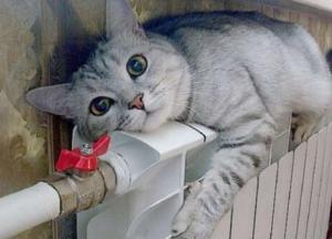 В Киеве с 23 октября начнется отопительный сезон