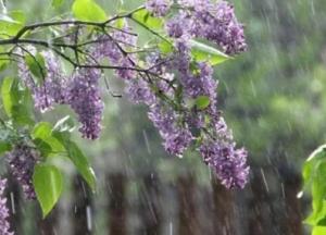 Прогноз погоды на 14 мая: часть Украины снова накроют дожди