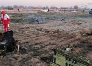 Место падения самолета МАУ сняли с высоты (видео)