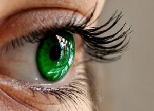 Медики нашли способ вернуть зрение слепым 