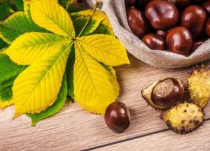 Названы народные средства для профилактики инсульта