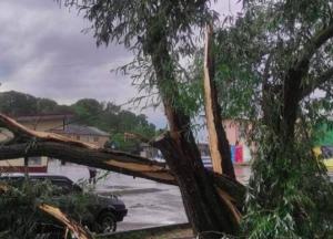 В Украине более полусотни населенных пунктов в 5 областях обесточены из-за непогоды