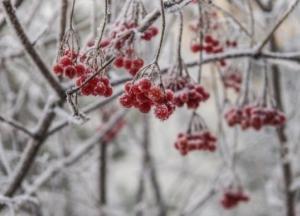 Грядет снежная буря: синоптики предупредили об ухудшении погоды в Украине