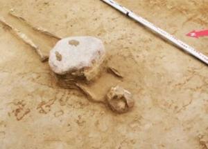 На кукурузном поле раскопали странное древнее кладбище