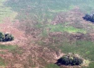 В лесах Амазонки нашли следы древней цивилизации