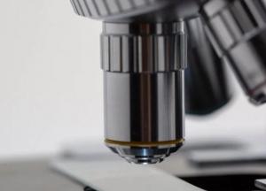 Ученые назвали самые частые причины смерти у пациентов с COVID-19