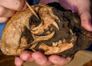 В Англии нашли древний карцер для гладиаторов