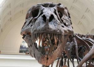 Ученые обнаружили останки динозавров, переплывших океан