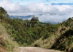 Резня в Папуа-Новой Гвинее: погибли десятки женщин и детей (фото)