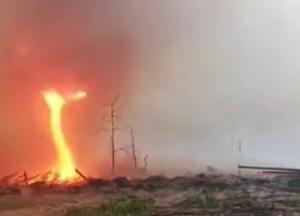 Чорнобильською зоною пронісся вогняний смерч (відео)
