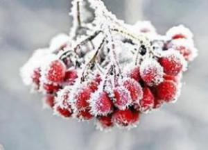 Крижаний колапс у Києві: поліція супроводжує снігоприбиральну техніку через шалені затори (відео)