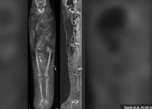 Ученые разгадали тайну мумий, найденных в 1615 году