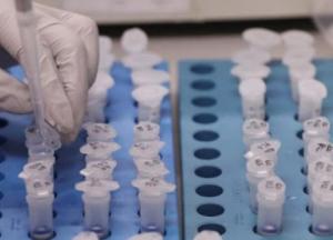 Украина закупит 300 млн тестов на антитела к коронавирусу
