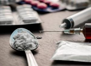 В Нидерландах нашли крупнейшую нарколабораторию в школе верховой езды