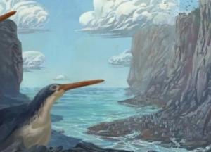 В Новой Зеландии обнаружили новый вид древнего гигантского пингвина