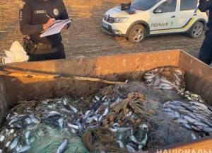 В Одесской области задержали браконьеров с крупным уловом кефали (фото)
