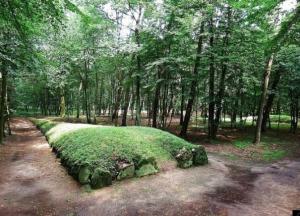 В Польше нашли древние поселения строителей, создавших загадочные пирамиды (фото)