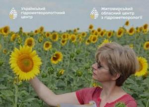 Агрометеорологія: як синоптики допомагають українському сільському господарству