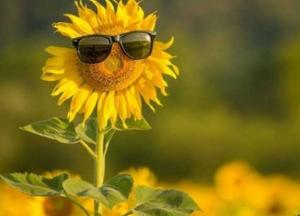 Прогноз погоды на 14 августа: в Украине будет солнечно и жарко