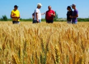 Аграриям в Украине упростят доступ к программам господдержки