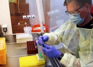 В Бразилии зафиксировали новый штамм коронавируса