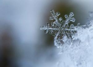 Прогноз погоды на 11 декабря: порывистый ветер и местами дождь