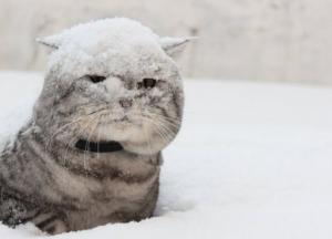 Прогноз погоды на 9 декабря: мороз остается, но осадков не будет