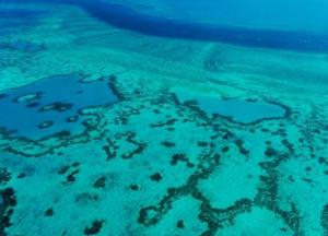 Большому Барьерному рифу угрожает опасность из-за изменений климата