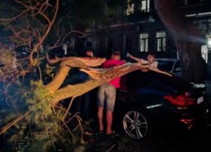 В Одессе ветер повалил десятки деревьев, есть пострадавшие