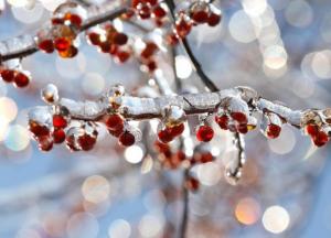 Будет по-весеннему тепло: появился актуальный прогноз погоды на начало недели в Украине