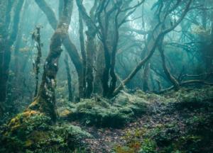 Археологи обнаружили могилы неизвестного древнего племени