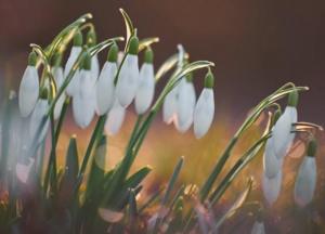 Прогноз погоды на 13 апреля: в Украине начнет холодать