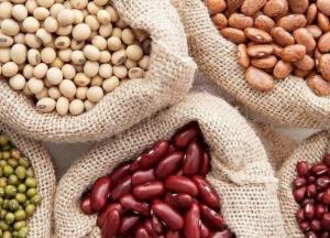 Медики назвали неожиданную пользу фасоли