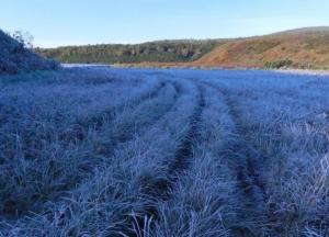 Прогноз погоды на 24 ноября: в Украине ожидаются сильные морозы и ветер