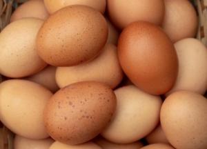Яйца: что следует знать про данный продукт