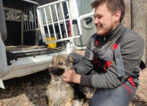 В Харьковской области спасли собаку, которая неделю дрейфовала на льдине