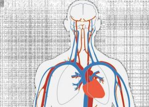 Кардиологи назвали внешние признаки атеросклероза