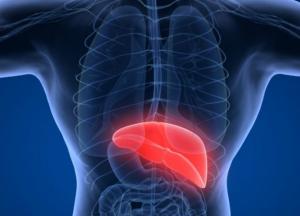 Медики назвали фактор, который увеличивает риск цирроза и рака печени