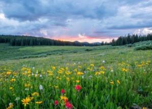 Прогноз погоды на 21 мая: грозы и дожди отступят