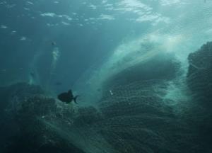 Samsung будет производить смартфоны из переработанных рыбацких сетей