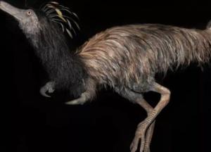 Ученые нашли останки динозавра с крючками вместо лап