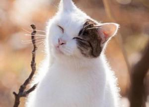 Прогноз погоды на 14 февраля: будет тепло и безветренно