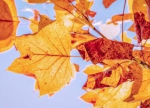 Синоптики сделали прогноз на октябрь