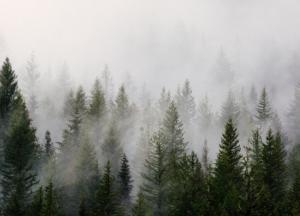 Прогноз погоды на 30 октября: в Украине облачно и прохладно