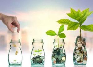 Приток инвестиций за 10 месяцев упал в 20 раз