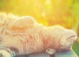 Прогноз погоды на 10 июля: воздух прогреется до +34 градусов