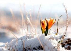 Синоптик рассказал, когда в Украине ждать весну