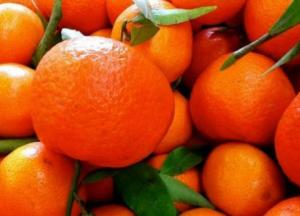 Врачи рассказали, кому нельзя есть мандарины