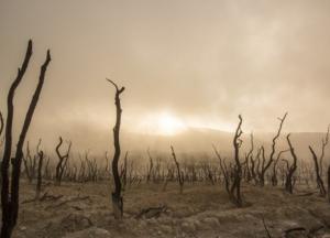 Земля нагревается рекордными темпами,- отчет ученых