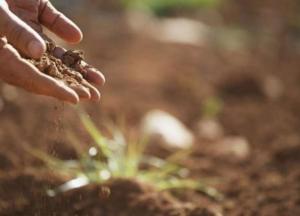 Ученые назвали самый привлекательный для человека запах
